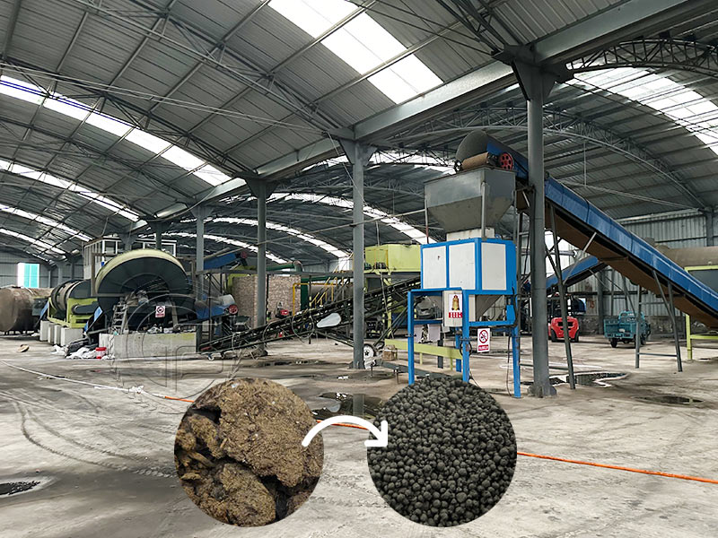 Best and efficient cow dung organic fertilizer production l