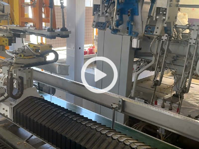 Packaging and palletizing production line in operation.
